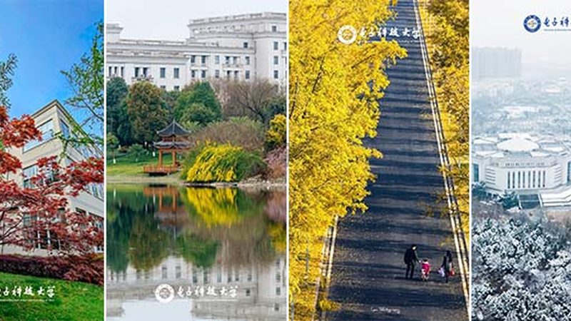 电子加工质量检测流程：揭秘电子产品的品质守护者