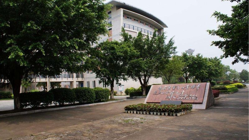 直流继电器工作原理解析：图解与注意事项**